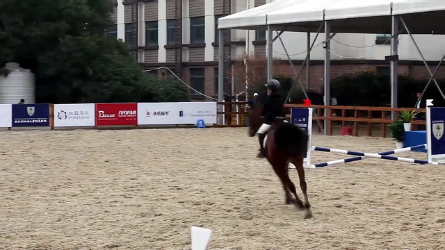 2019 Suzhou Youth Sunshine Sports League Primary and Secondary School Equestrian Competition