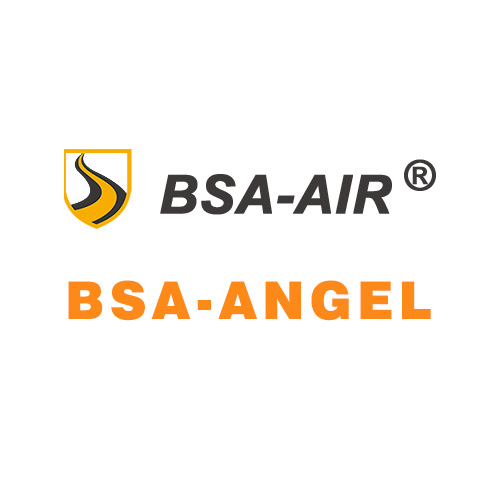 Introduction to the BSA-ANGEL  brand